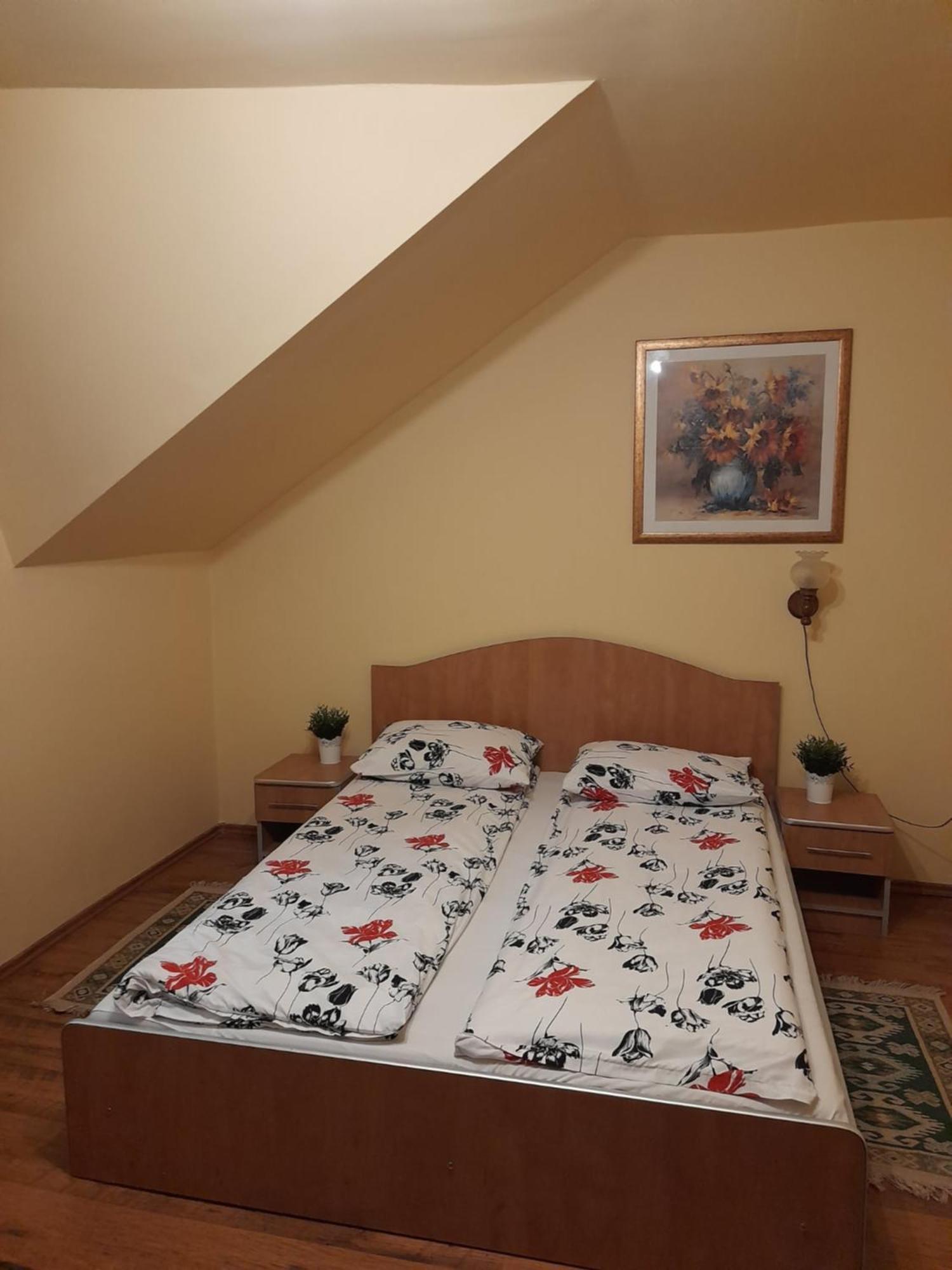 Bed and Breakfast Panzio Anett Pietroasa  Exterior foto